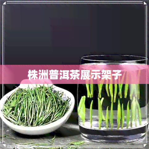 株洲普洱茶展示架子