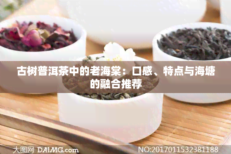 古树普洱茶中的老海棠：口感、特点与海塘的融合推荐