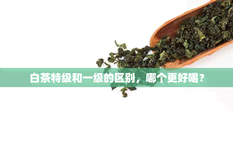 白茶特级和一级的区别，哪个更好喝？