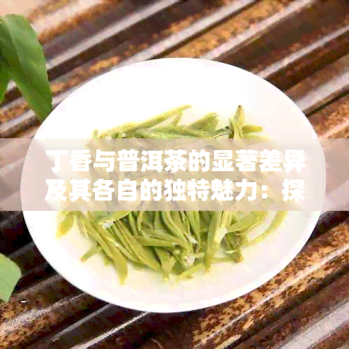 丁香与普洱茶的显著差异及其各自的独特魅力：探索这两种茶叶的不同之处