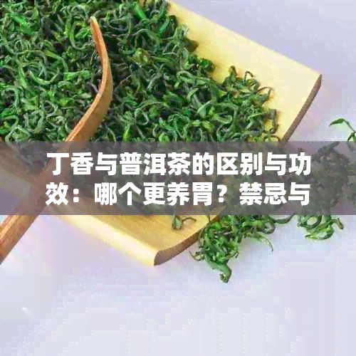 丁香与普洱茶的区别与功效：哪个更养胃？禁忌与注意事项有哪些？