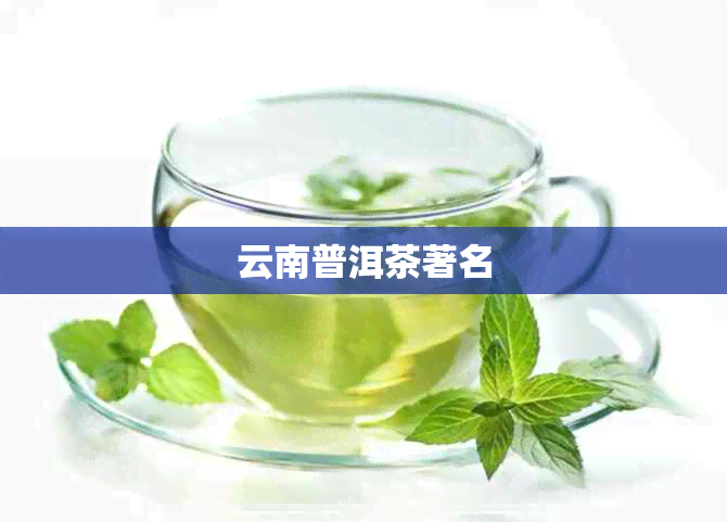 云南普洱茶著名