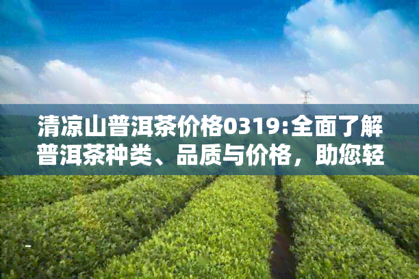 清凉山普洱茶价格0319:全面了解普洱茶种类、品质与价格，助您轻松选购