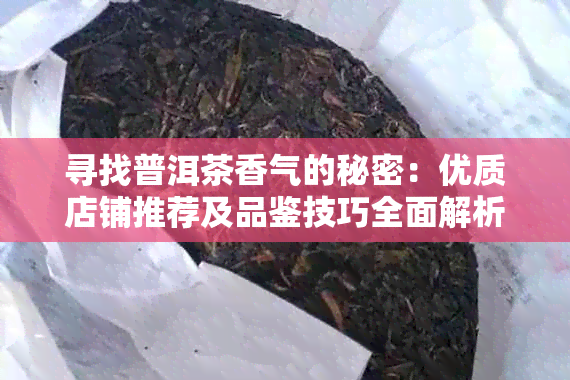 寻找普洱茶香气的秘密：优质店铺推荐及品鉴技巧全面解析