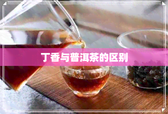 丁香与普洱茶的区别