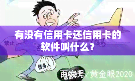 有没有信用卡还信用卡的软件叫什么？