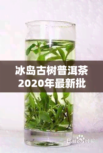 冰岛古树普洱茶2020年最新批发价格表与图片指南