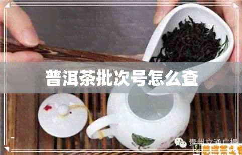 普洱茶批次号怎么查