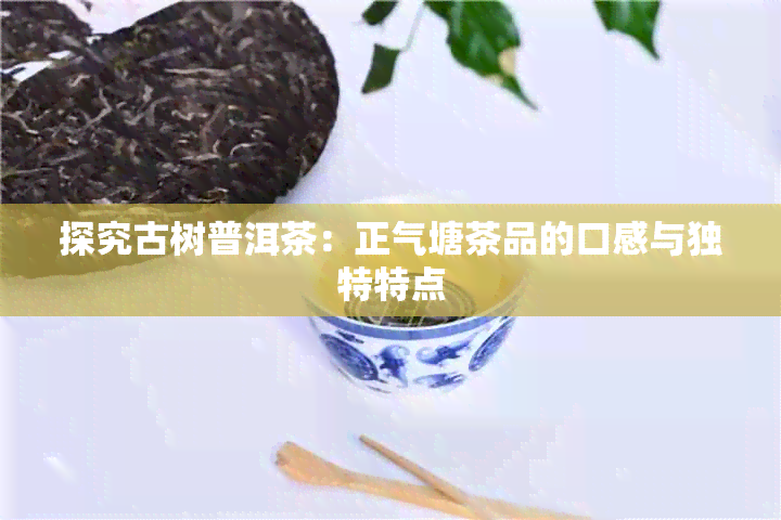 探究古树普洱茶：正气塘茶品的口感与独特特点