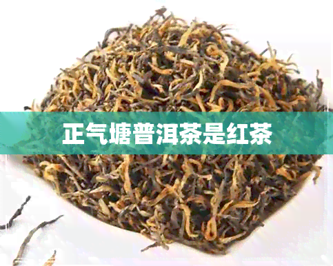 正气塘普洱茶是红茶