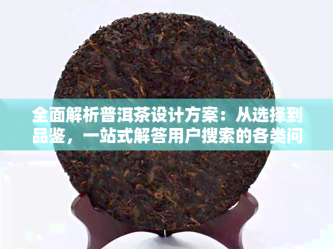 全面解析普洱茶设计方案：从选择到品鉴，一站式解答用户搜索的各类问题