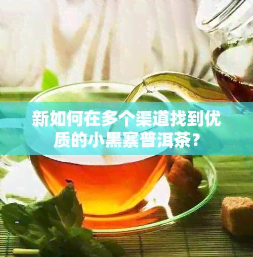 新如何在多个渠道找到优质的小黑寨普洱茶？