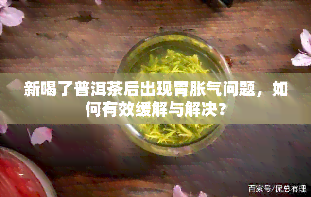 新喝了普洱茶后出现胃胀气问题，如何有效缓解与解决？