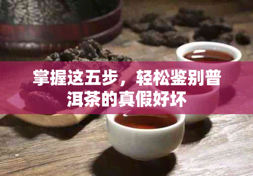 掌握这五步，轻松鉴别普洱茶的真假好坏