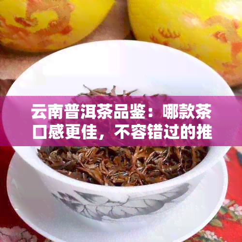 云南普洱茶品鉴：哪款茶口感更佳，不容错过的推荐列表