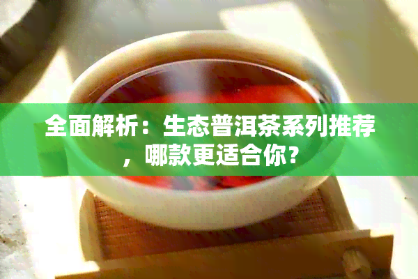 全面解析：生态普洱茶系列推荐，哪款更适合你？