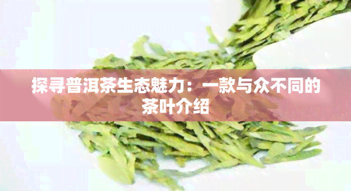 探寻普洱茶生态魅力：一款与众不同的茶叶介绍