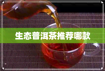 生态普洱茶推荐哪款