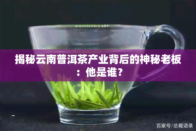 揭秘云南普洱茶产业背后的神秘老板：他是谁？