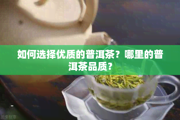 如何选择优质的普洱茶？哪里的普洱茶品质？