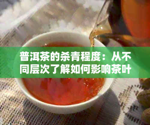 普洱茶的杀青程度：从不同层次了解如何影响茶叶的品质与口感