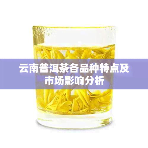 云南普洱茶各品种特点及市场影响分析