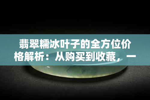 翡翠糯冰叶子的全方位价格解析：从购买到收藏，一文搞定！