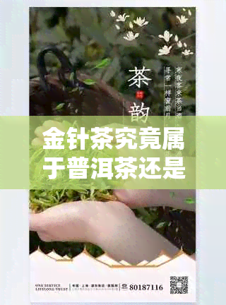 金针茶究竟属于普洱茶还是滇红茶？