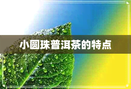 小圆珠普洱茶的特点