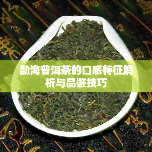 勐海普洱茶的口感特征解析与品鉴技巧