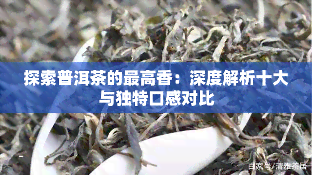 探索普洱茶的更高香：深度解析十大与独特口感对比