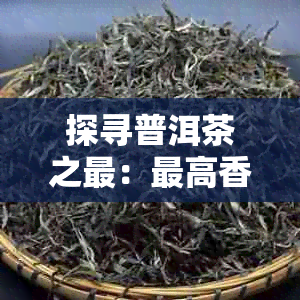 探寻普洱茶之最：更高香的茶叶排行，带你领略品茗的更高境界