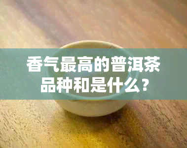 香气更高的普洱茶品种和是什么？