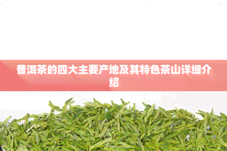 普洱茶的四大主要产地及其特色茶山详细介绍