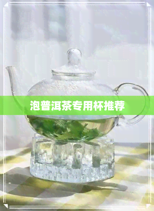 泡普洱茶专用杯推荐