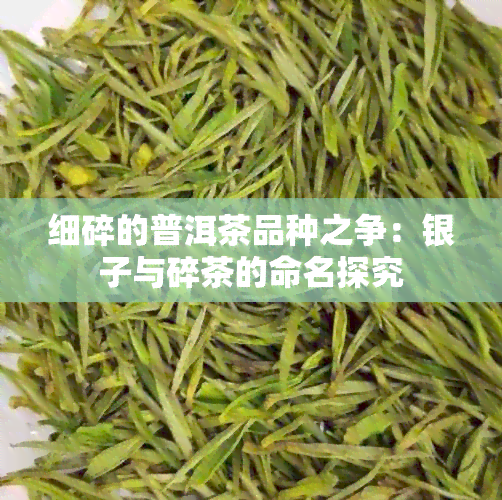 细碎的普洱茶品种之争：银子与碎茶的命名探究