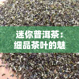 迷你普洱茶：细品茶叶的魅力与选择