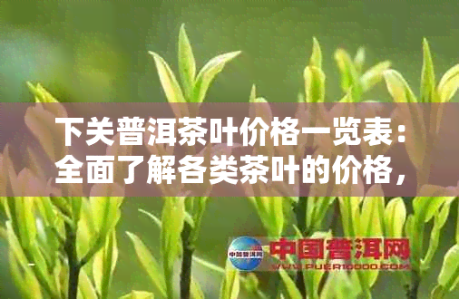 下关普洱茶叶价格一览表：全面了解各类茶叶的价格，助您轻松选购！