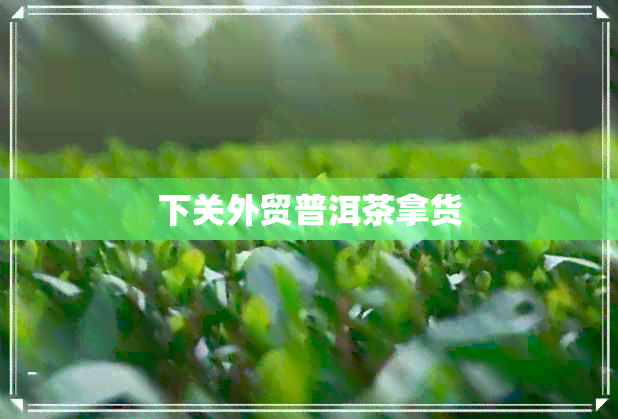 下关外贸普洱茶拿货