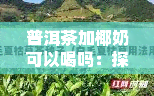 普洱茶加椰奶可以喝吗：探讨普洱茶与椰奶的搭配及其功效作用