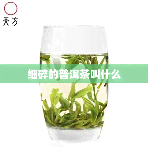 细碎的普洱茶叫什么