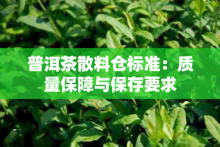 普洱茶散料仓标准：质量保障与保存要求