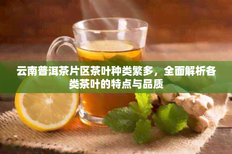 云南普洱茶片区茶叶种类繁多，全面解析各类茶叶的特点与品质