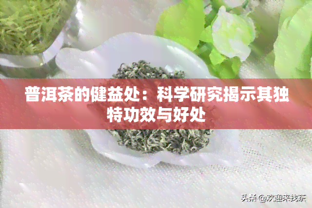 普洱茶的健益处：科学研究揭示其独特功效与好处