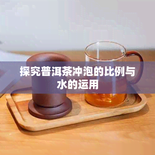 探究普洱茶冲泡的比例与水的运用