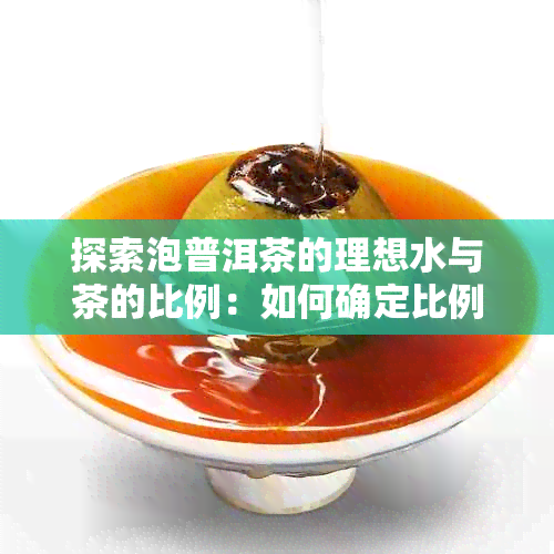 探索泡普洱茶的理想水与茶的比例：如何确定比例以获得口感？