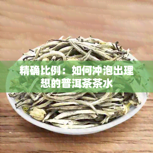 精确比例：如何冲泡出理想的普洱茶茶水