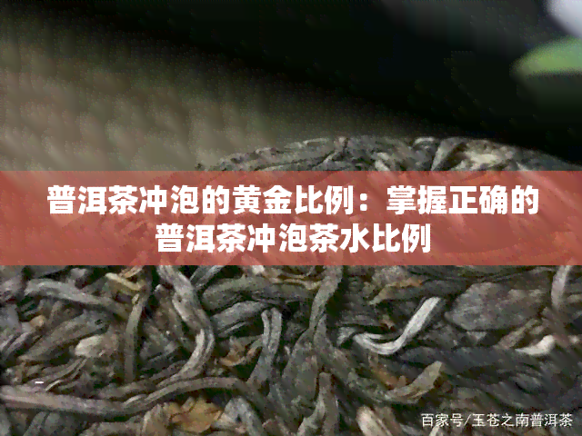 普洱茶冲泡的黄金比例：掌握正确的普洱茶冲泡茶水比例