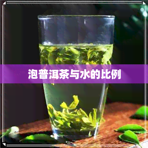 泡普洱茶与水的比例