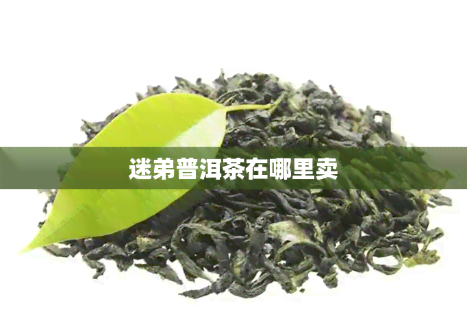 迷弟普洱茶在哪里卖